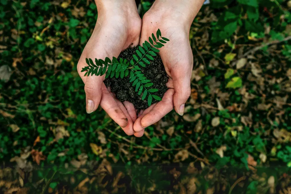 Co je ESG a proč se o něj zajímat? ARMEX ENERGY sází na udržitelnost